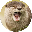 Joao Camargo profile picture